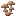 Brown Mushroom Colony