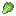 Cabbage Leaf